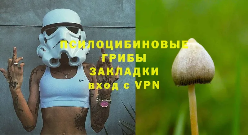 Галлюциногенные грибы Psilocybine cubensis  Электросталь 